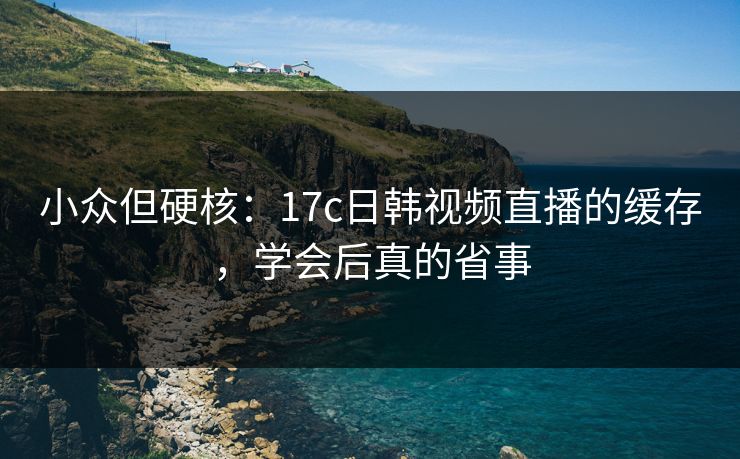 小众但硬核：17c日韩视频直播的缓存，学会后真的省事