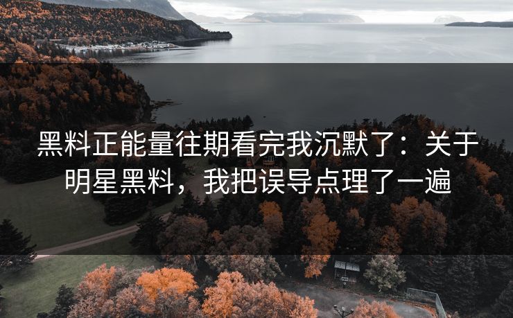 黑料正能量往期看完我沉默了：关于明星黑料，我把误导点理了一遍