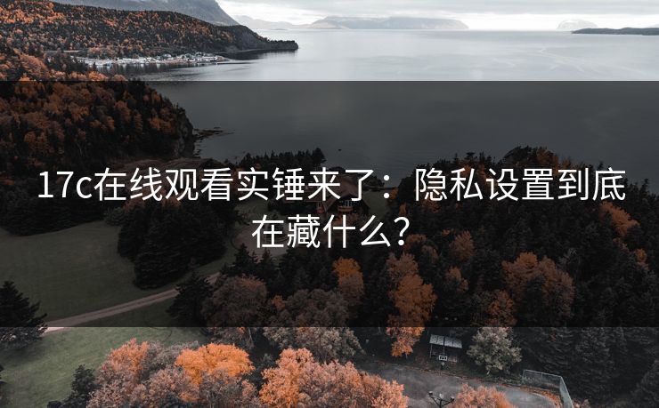 17c在线观看实锤来了：隐私设置到底在藏什么？