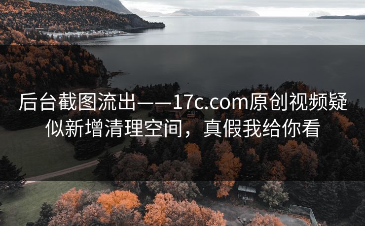 后台截图流出——17c.com原创视频疑似新增清理空间，真假我给你看